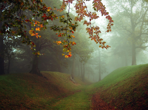 Autumn fog by KENNETH BARKER