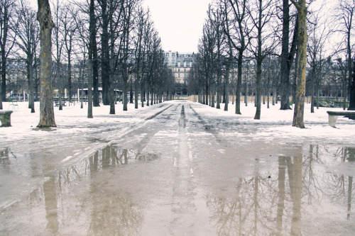 Winter in Paris