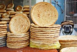 pakistan365:At a naan shop in Peshawar, the owner’s guard dog is wearing a pakol. Picture via FB.