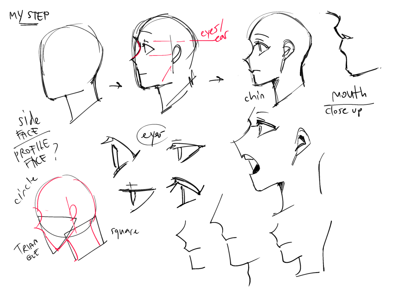 the sky has no limits — do you tips on how to draw profile faces and 3/4