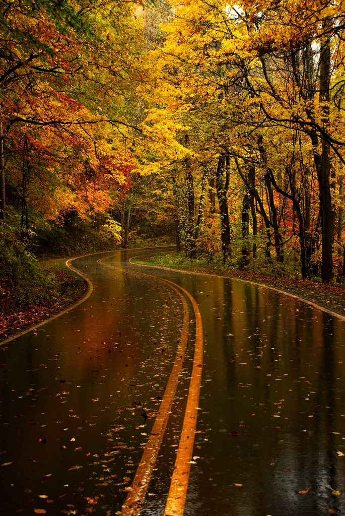 sweetestsimplicity:  soulraped:  &ldquo;I took the one less traveled by, And