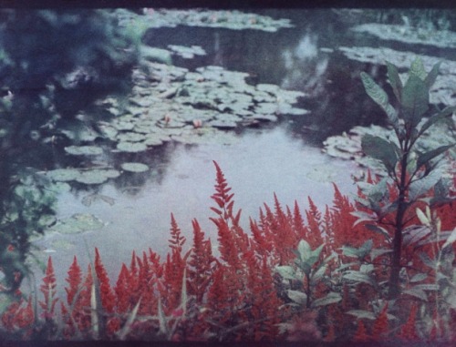 At Monet’s, the garden on the other side, Giverny