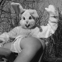 hothairbitch:Bring it you big, bad bunny!!