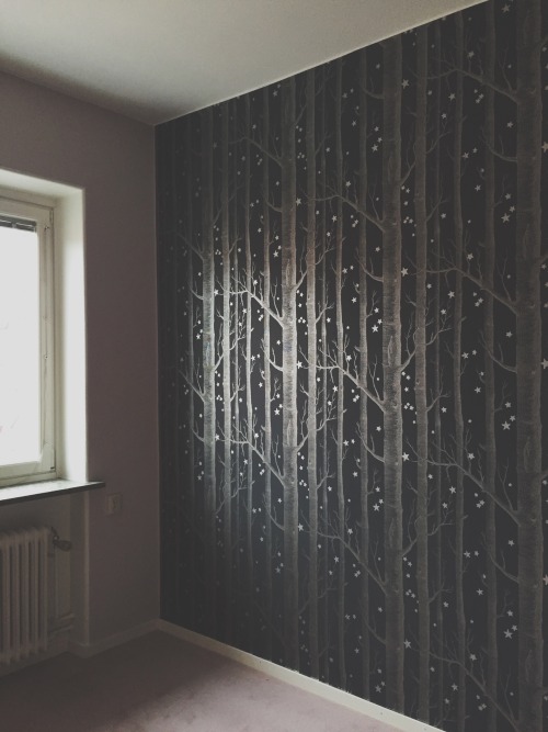 bergtagen:  My bedroom turned into a silver forest. 