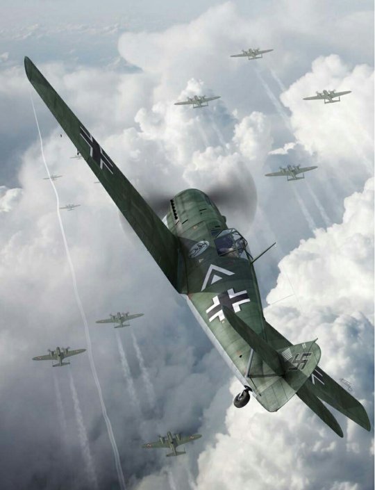 ww1ww2photosfilms:  BF 109