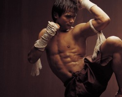 beam-meh-up-scotty:  Yes!!!   Tony jaa is a monster!!!!