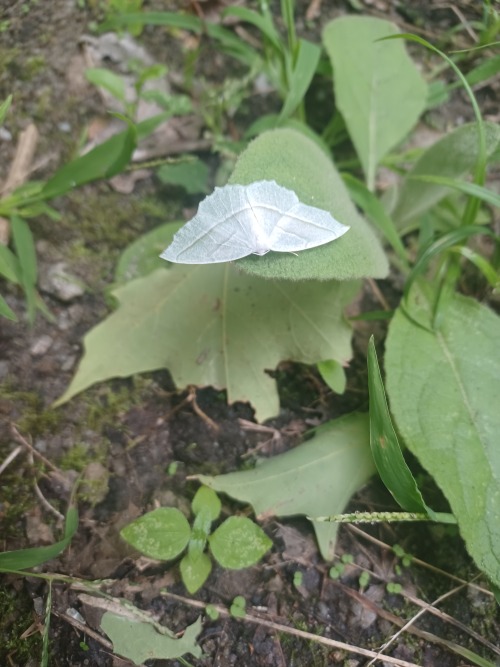 Some Of My Favorite Pictures I Took The Last Time I Went For A Hike