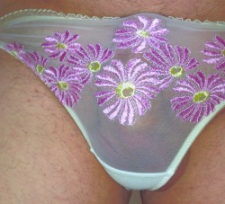 billyyboy00:  Love my pink flower panties!