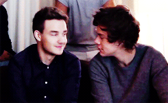 ffranksiero:  3/60: Your favorite BROTPS (2/2) - Liam & Harry“if I was an animal, my mating call would sound a little like this, "hello, I’m the real liam payne, nice to meet you” 