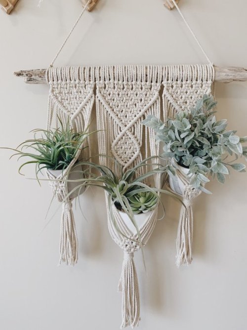 Plant Hanger // alohamacrames