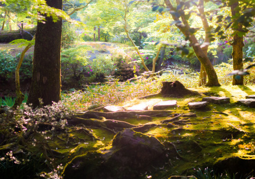 The infinite beauty of Nara