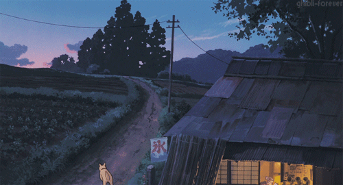 “ The Catbus | My Neighbour Totoro (1988)
”