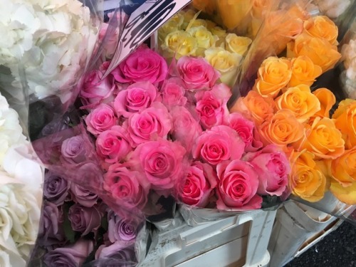 Columbia Road Flower Market - December 2017