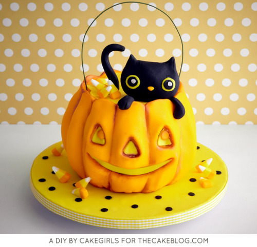 confectionerybliss:Kitty Cat In A Pumpkin | The Cake Blog