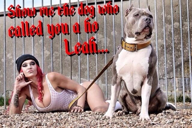 #fitmom #badass #bullylife #bullbreeds #bullbreedsofinsta #bandogge #ItsRayningPits