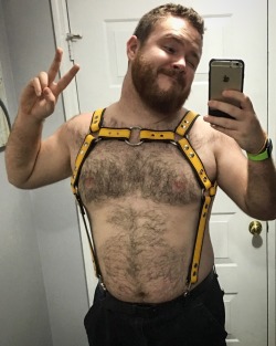 phurlz: Basically Chris Pratt in a harness.