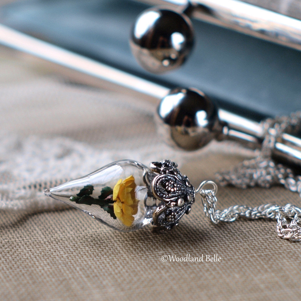 culturenlifestyle:  Enchanted Beauty &amp; the Beast inspired Enchanted Rose