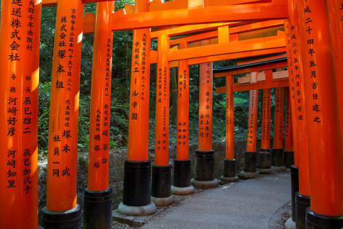 Fushimi Inari Shrine, Kyoto, Japan by globetrekimages In Flickr Explore June 17, 2019 #111 f