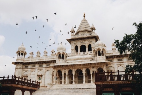 flamande: Jodhpur, Rajasthan, India.