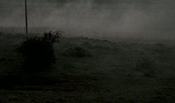 cinemawithoutpeople:  Cinema without people: Nostalghia (1983, Andrei Tarkovsky, dir.)