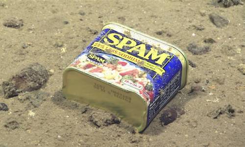  A container of Spam rests at 4,947 meters on the slopes of a canyon leading to the Sirena Deep in t