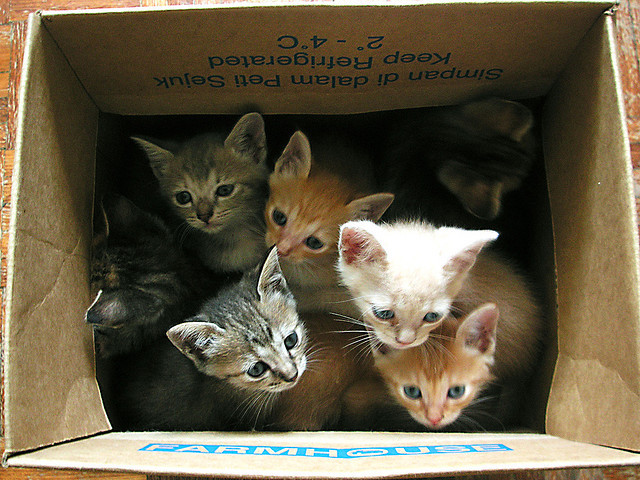 imperfectio:  Special Delivery by POCKET_ROCKET on Flickr. 