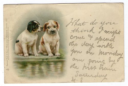 Chromolithograph postcard of 2 puppies -  printed in Germany 1903 On older postcards like this 