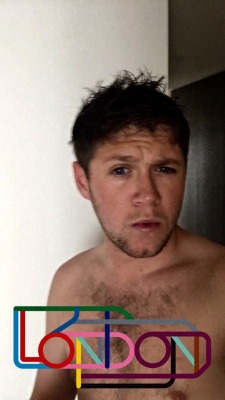 hairyniallhoran:He’s such a tease and a horny fucker ,what a hairy beast