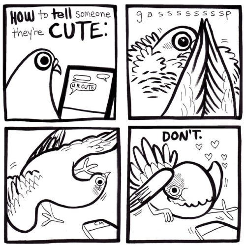 pigeoncomics:  Pigeon Comics 64 - U R Cute adult photos