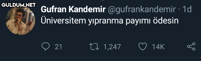 Gufran Kandemir...