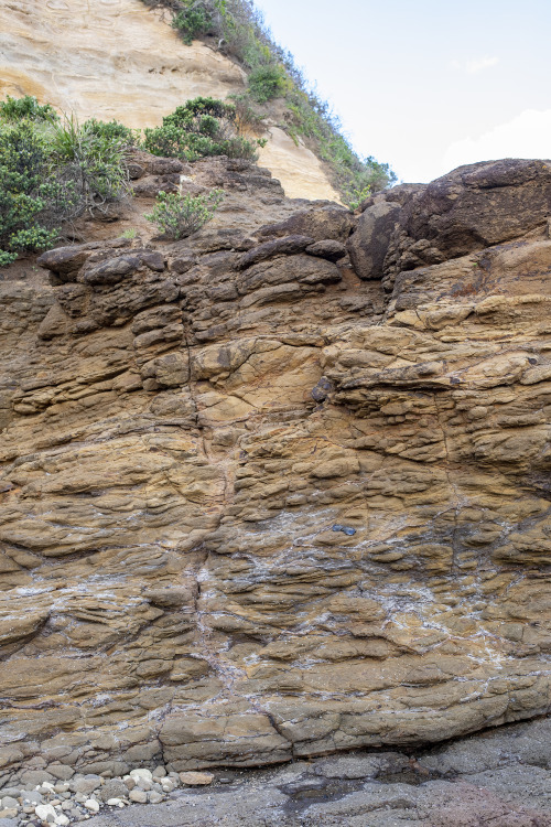 2022: Pillow lavas and tuff bedding at Red Head, likely Tertiary