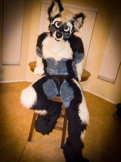 fursuitpursuits: RT @WolfangCerberus: Forget the rules. If you like it, wear it.  :@SongRedwood http