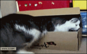queenbexmix:  It fits it ships. Ship it to me.
