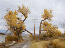 jennilee:  Jason Vaughn, Road Trip with Shola, 2009 