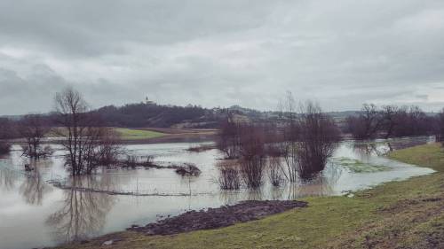Žica se utaplja#border #fence #flood #Obsotelje #Slovenia #Croatia #landscape #nature