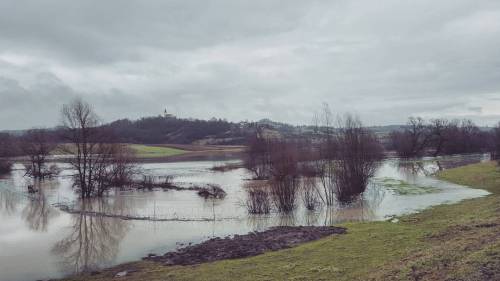 Žica se utaplja  #border #fence #flood #Obsotelje #Slovenia #Croatia #landscape #nature