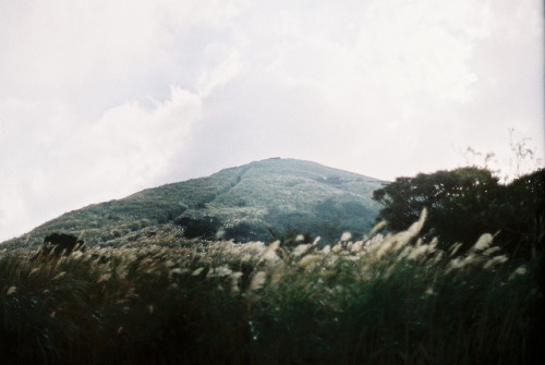 smellychris:  untitled by 每日你與宇宙的光 忘了我吧 on Flickr. 