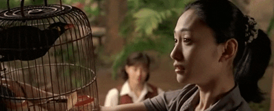 7f3117dc630926b36898149a2f9a3ee9281268b0.gifv