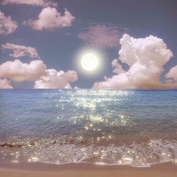 tumblr photo backrubsandpipedreams 12