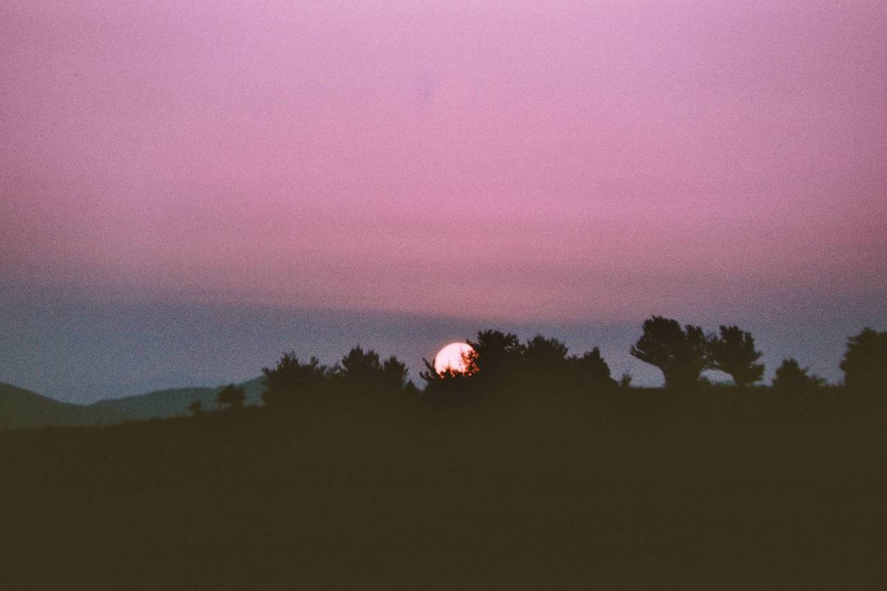 lomographicsociety:  Cast of Dark: Dusky Purple By now the Lomography site is like