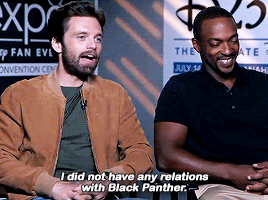 sebastiansource:Winter Solider/Bucky Barnes is not in Black Panther according to Sebastian Stan.
