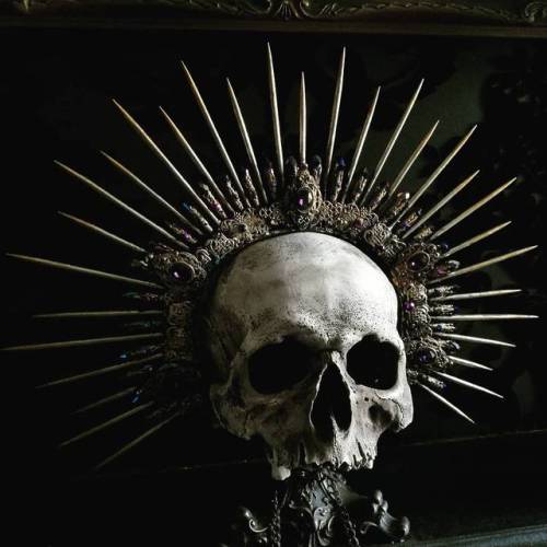wordsnquotes:Macabre Themed Crowns & Halos by Cara TrinderGet them here!