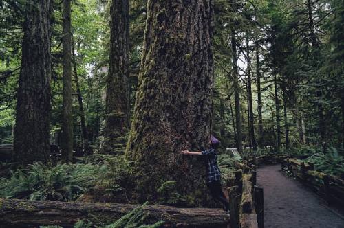 Hugs, not drugs#explorebc #explorecanada #yvr #dailyhivevan #sharevi #sonyalpha #alphacollective #th