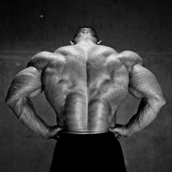 Best Bodybuilding Pics