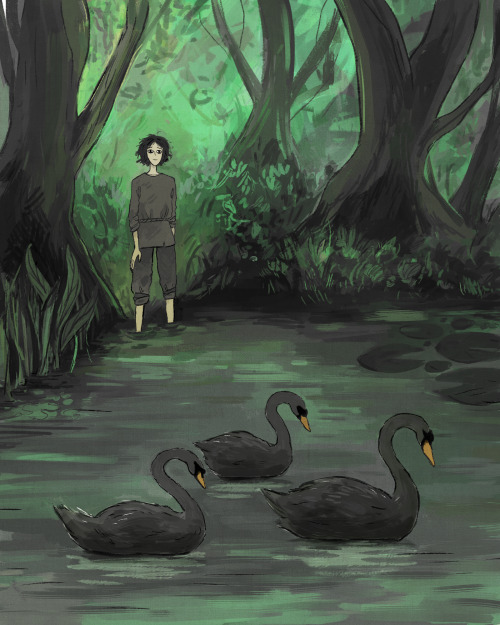 three black swans were gliding over the water, so serene &hellip; no one had told them that war had 