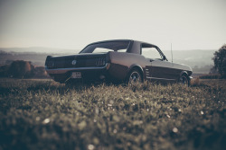 carpr0n:  Starring: Ford Mustang (by clemens.)