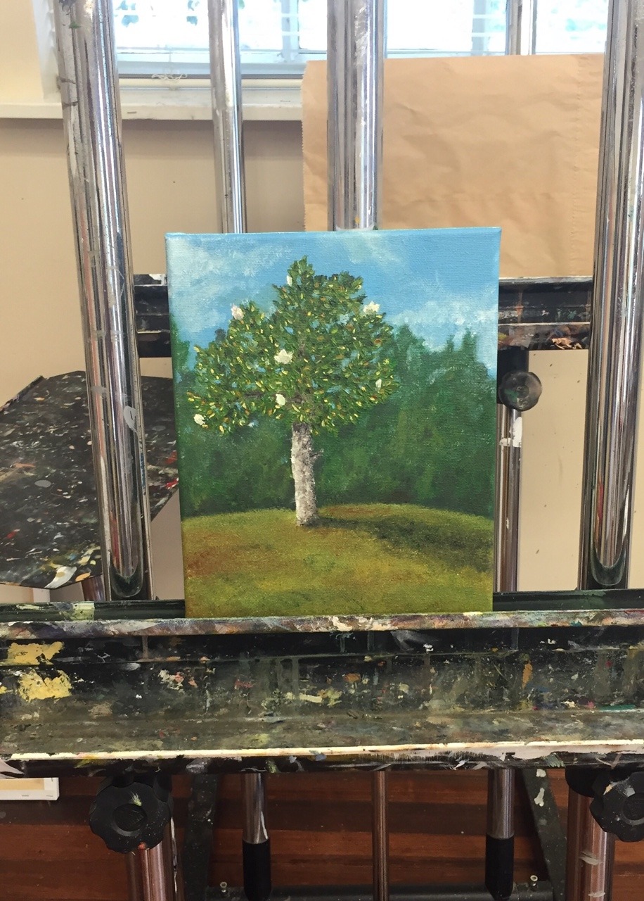 stripesofagiraffe:  My landscape painting class so far. We’ve had to do a painting