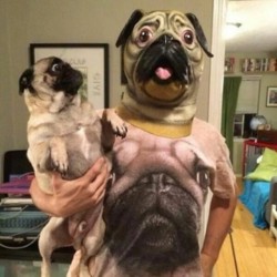 Awesome Pugs