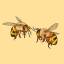 honeymatchabee