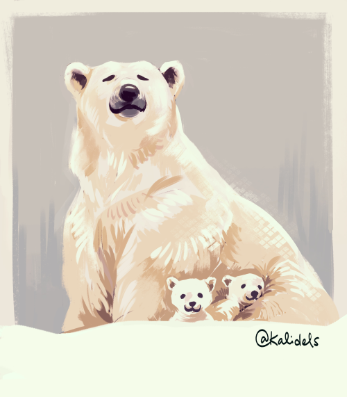 it’s international polar bear day! if you have time, please consider checking out Polar Bears Intern